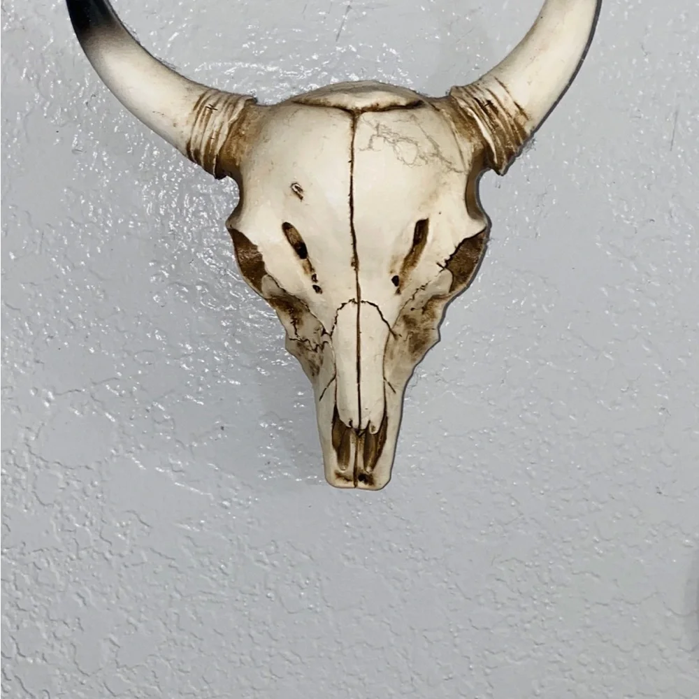 Rustic Bone White Bull Skull Wall Decor - Home Accent